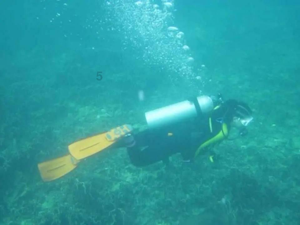 “利剑护蕾·‘青’心守护”|永州共青团市级示范宣讲走进梅湾街道